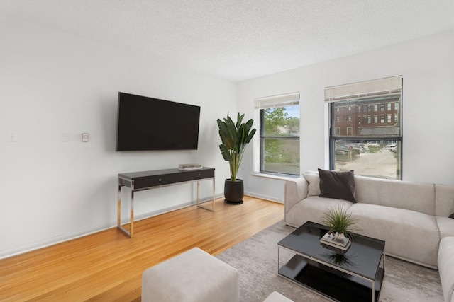 5337 S Ellis Ave Unit 1C, Chicago, IL 60615 - living area featuring wood finished floors, baseboards, and a textured ceiling