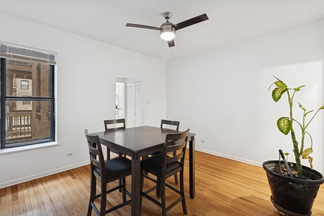 5337 S Ellis Ave Unit 1C, Chicago, IL 60615 - dining room featuring wood-type flooring, baseboards, and a ceiling fan