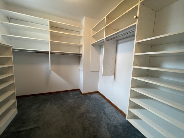 7750 Northfield Ln, Tinley Park, IL 60487 - spacious closet with dark carpet