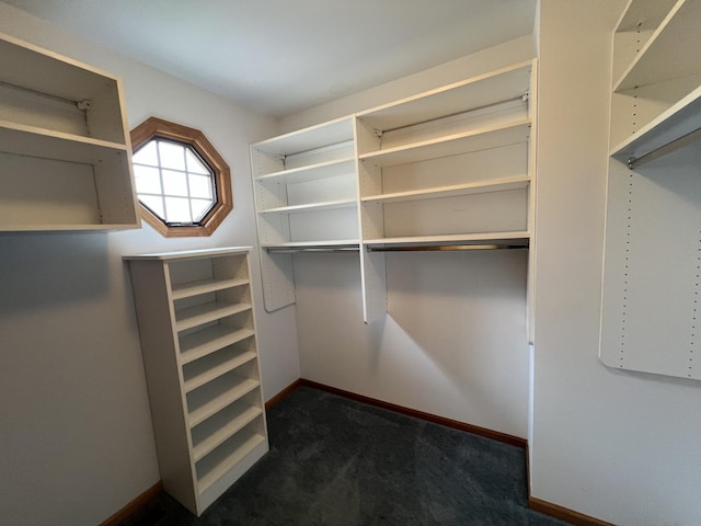 7750 Northfield Ln, Tinley Park, IL 60487 - spacious closet with dark carpet