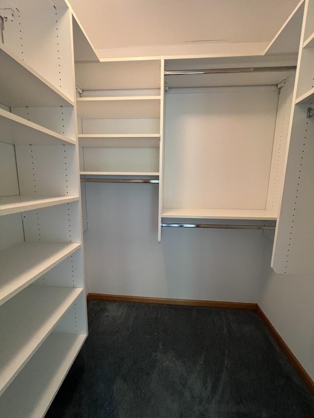 7750 Northfield Ln, Tinley Park, IL 60487 - walk in closet with carpet