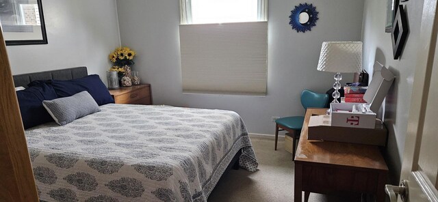 973 Willowbrook Dr, Wheeling, IL 60090 - bedroom with carpet