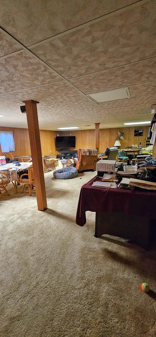 973 Willowbrook Dr, Wheeling, IL 60090 - living area featuring carpet, wood walls, and billiards table