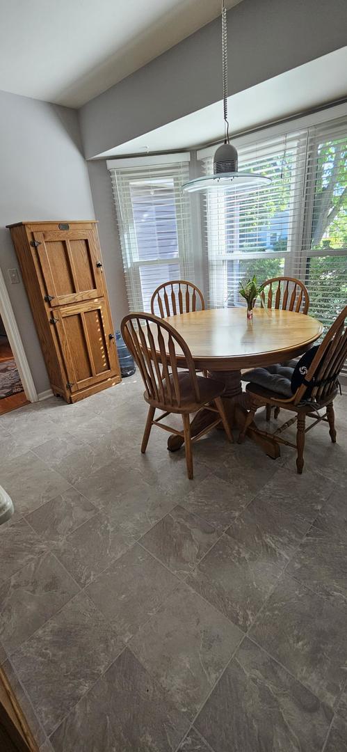 973 Willowbrook Dr, Wheeling, IL 60090 - dining space featuring healthy amount of natural light and dark stone finish floors