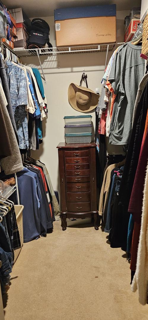 973 Willowbrook Dr, Wheeling, IL 60090 - walk in closet with carpet floors