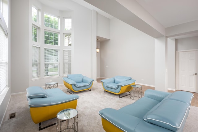 14605 Colonial Pkwy, Plainfield, IL 60544 - living area featuring a towering ceiling, baseboards, and carpet