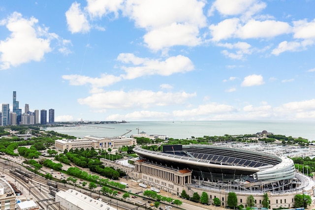 1629 S Prairie Ave Unit 1503, Chicago, IL 60616 - water view featuring nearby urban area and a notable bridge