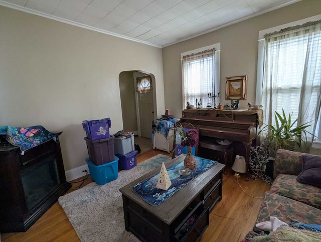1215 3rd St, Moline, IL 61265 - living area featuring arched walkways, ornamental molding, and wood finished floors