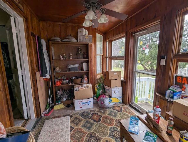 1215 3rd St, Moline, IL 61265 - storage room with a ceiling fan