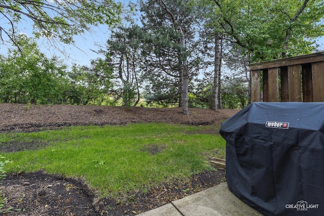 937 Huntington Dr, Elk Grove Village, IL 60007 - view of yard