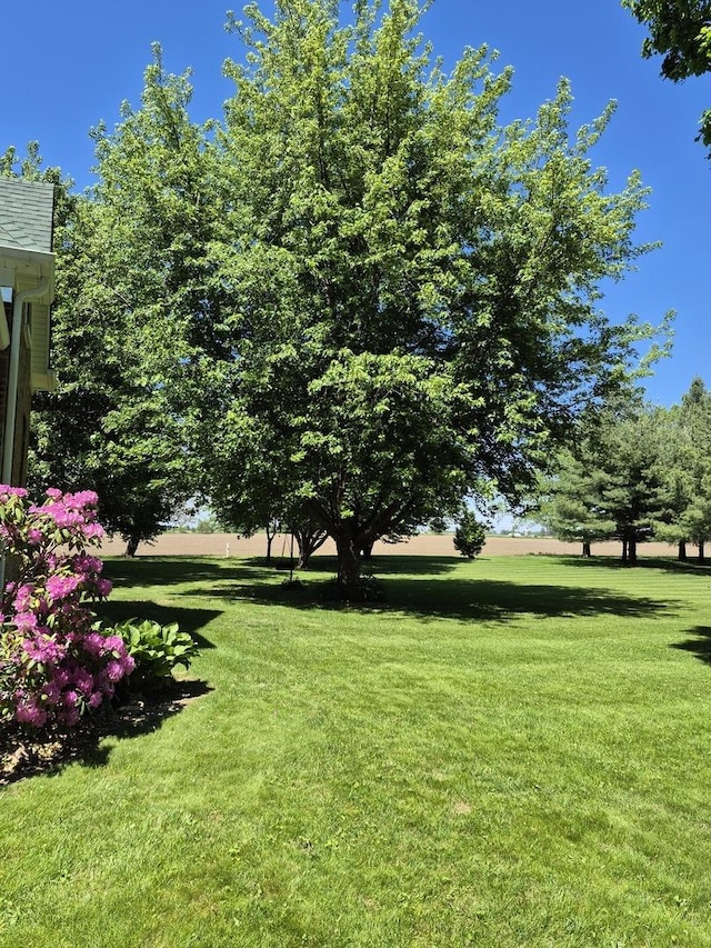 123 W Maple St, Franklin Grove, IL 61031 - view of green lawn
