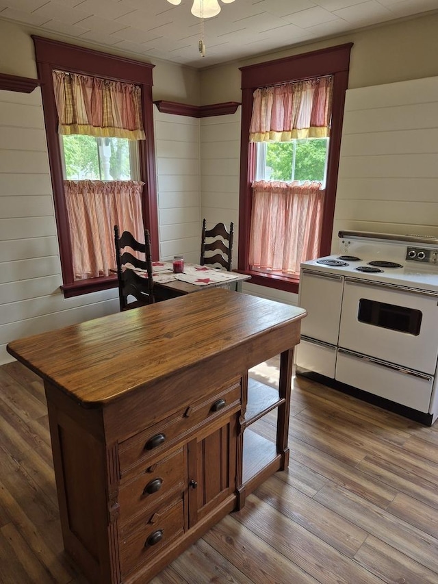 123 W Maple St, Franklin Grove, IL 61031 - kitchen with double oven range, butcher block counters, wood walls, and dark wood-style flooring