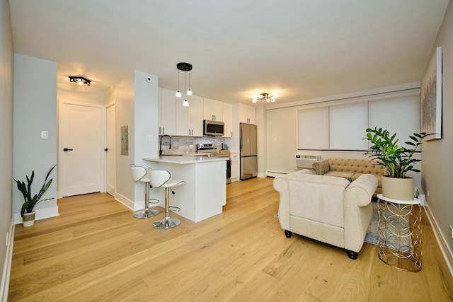 6300 N Sheridan Rd Unit 112, Chicago, IL 60660 - living area featuring electric panel, baseboard heating, light wood finished floors, and baseboards