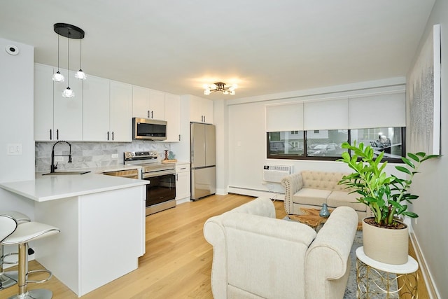 6300 N Sheridan Rd Unit 112, Chicago, IL 60660 - living room featuring a baseboard heating unit, light wood-style flooring, baseboards, and an AC wall unit
