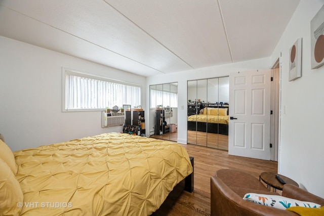 914 N Austin Blvd Unit B10, Oak Park, IL 60302 - bedroom featuring wood finished floors and multiple closets
