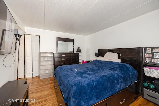 914 N Austin Blvd Unit B10, Oak Park, IL 60302 - bedroom featuring light wood finished floors