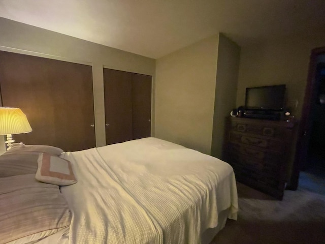 1410 Brentwood Pl, Joliet, IL 60435 - bedroom with carpet flooring and multiple closets