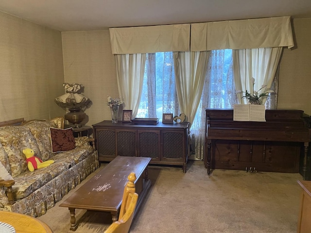 1410 Brentwood Pl, Joliet, IL 60435 - office space with light carpet