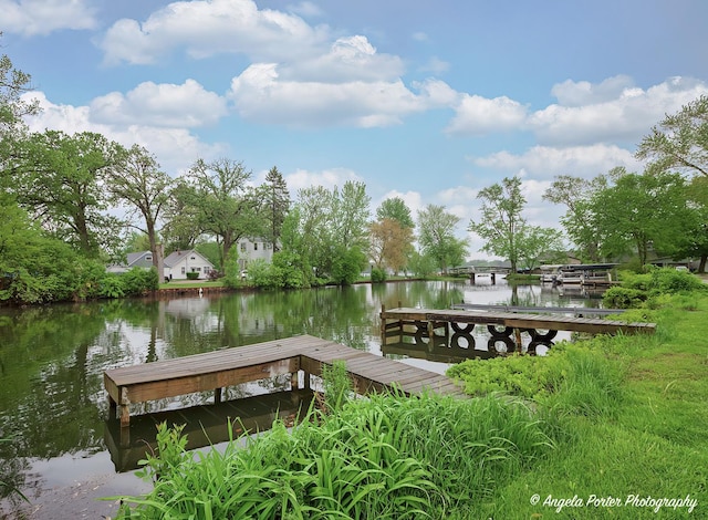 33978 N Lake Rd, Grayslake, IL 60030 - dock with a water view