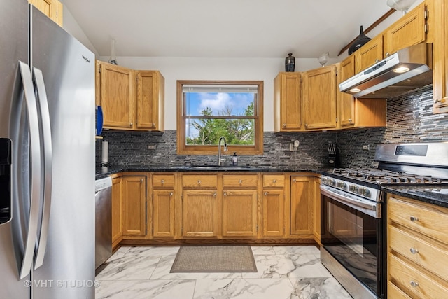 841 Bonnie Brae Ln, Bolingbrook, IL 60440 - kitchen featuring appliances with stainless steel finishes, under cabinet range hood, a sink, light marble finish flooring, and decorative backsplash