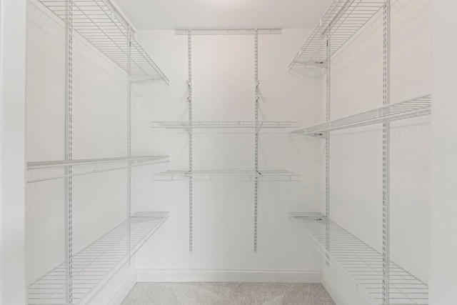 1802 77th St, Naperville, IL 60565 - view of spacious closet