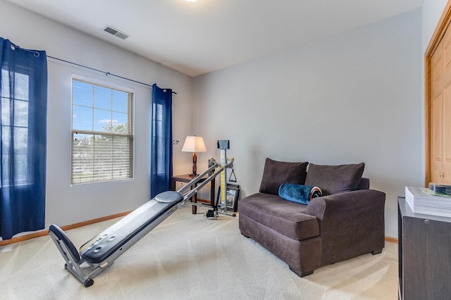 18225 Eagle Dr, Tinley Park, IL 60477 - living area with light colored carpet and baseboards