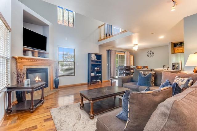 18225 Eagle Dr, Tinley Park, IL 60477 - living room with plenty of natural light, light wood-style flooring, and a fireplace
