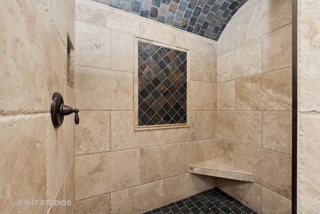 3515 Kings Lair Dr, Spring Grove, IL 60081 - bathroom view of tiled shower