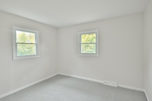 1726 5th Ave, Belvidere, IL 61008 - spare room with plenty of natural light, carpet flooring, and baseboards
