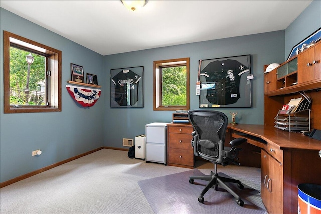 10348 Woburn Ct, Orland Park, IL 60462 - home office with light carpet and baseboards
