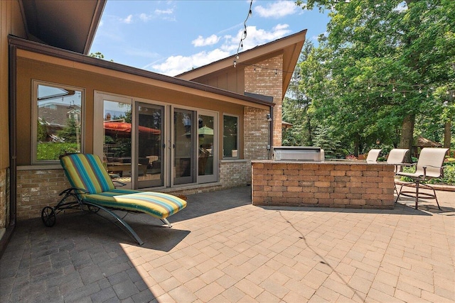 10348 Woburn Ct, Orland Park, IL 60462 - view of patio featuring an outdoor kitchen
