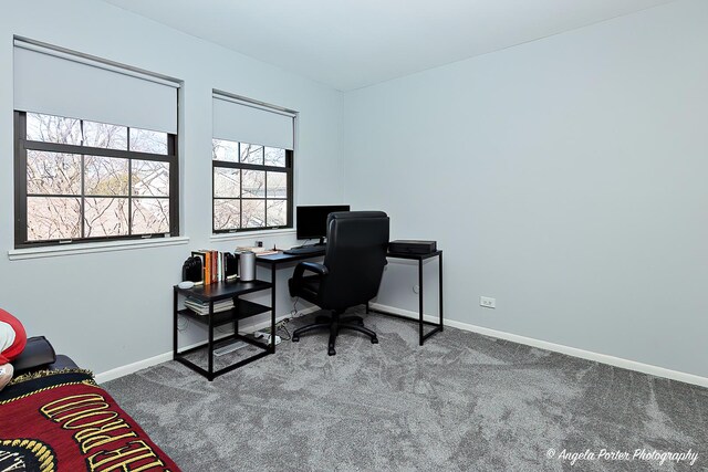 638 Dordan Ct, Gurnee, IL 60031 - office with carpet flooring and baseboards