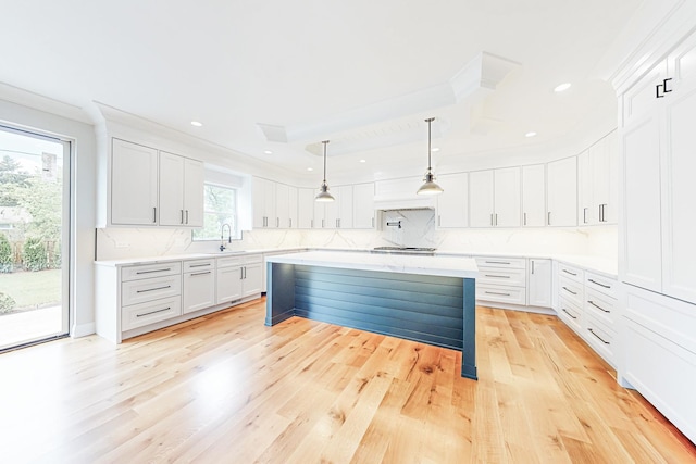 1326 N Race Ave, Arlington Heights, IL 60004 - kitchen featuring a sink, decorative backsplash, light countertops, light wood finished floors, and ornamental molding