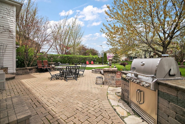 454 Hemlock Ln, Roselle, IL 60172 - view of patio with outdoor dining area and grilling area