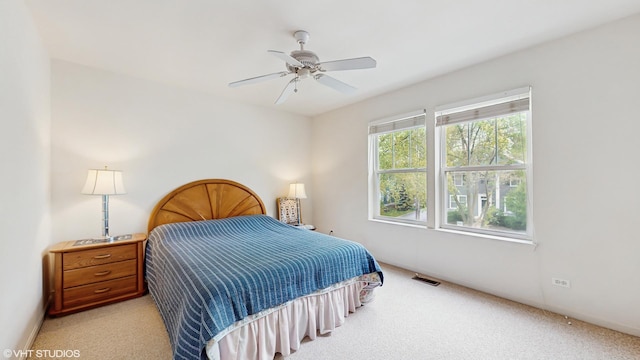 296 Huron St, Vernon Hills, IL 60061 - bedroom featuring carpet and a ceiling fan
