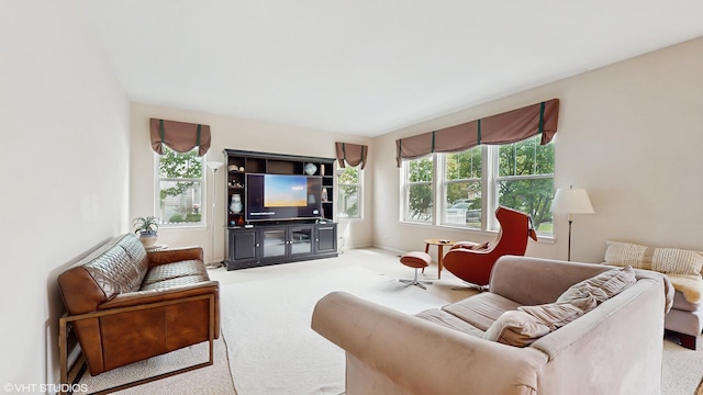 296 Huron St, Vernon Hills, IL 60061 - carpeted living area featuring healthy amount of natural light