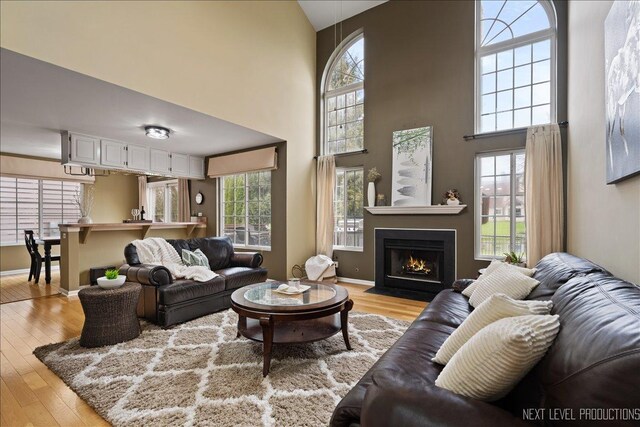1839 Tamahawk Ln, Naperville, IL 60564 - living area featuring light wood finished floors, a towering ceiling, a fireplace with flush hearth, and baseboards