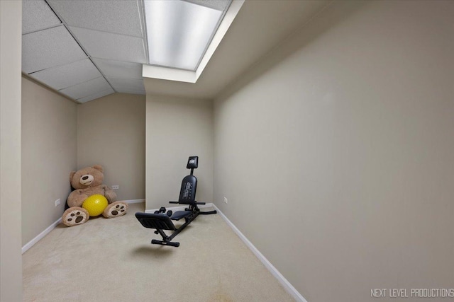 1839 Tamahawk Ln, Naperville, IL 60564 - workout room featuring carpet flooring and baseboards