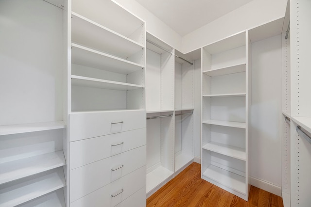1912 Indian Trl, Kankakee, IL 60901 - walk in closet with light wood-style flooring