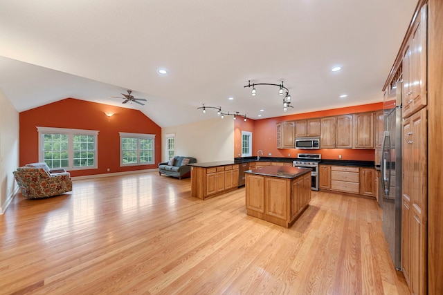 1912 Indian Trl, Kankakee, IL 60901 - kitchen featuring appliances with stainless steel finishes, open floor plan, dark countertops, light wood finished floors, and a center island