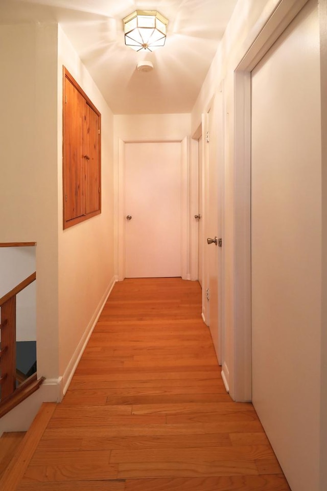 1065 Irwin Ave, Des Plaines, IL 60018 - hall featuring light wood-type flooring and baseboards