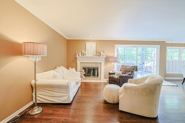 1730 Napoleon Dr, Naperville, IL 60565 - living room with ornamental molding, baseboards, dark wood-type flooring, and a glass covered fireplace