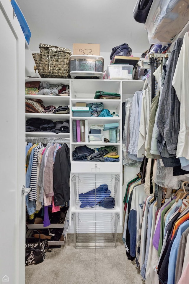 2862 N Paulina St, Chicago, IL 60657 - view of spacious closet