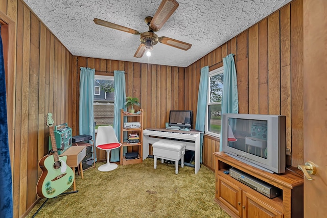 170 E Church St, Coal City, IL 60416 - office space with carpet floors, wood walls, plenty of natural light, and ceiling fan
