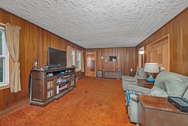 170 E Church St, Coal City, IL 60416 - carpeted living area with wood walls and healthy amount of natural light