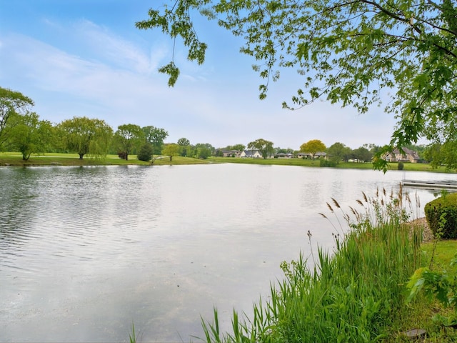 500 Muscovy Ln, Bloomingdale, IL 60108 - water view