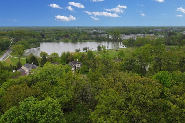 1700 Cornell Ct, Lake Forest, IL 60045 - aerial view of property's location featuring a nearby body of water and a forest