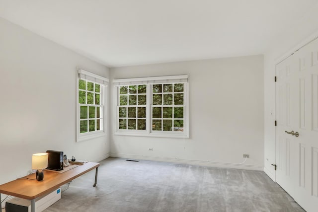 1700 Cornell Ct, Lake Forest, IL 60045 - unfurnished office with carpet flooring and baseboards