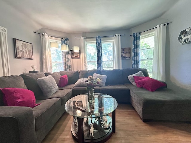 252 Jefferson Ave, Elgin, IL 60120 - living area featuring healthy amount of natural light and wood finished floors