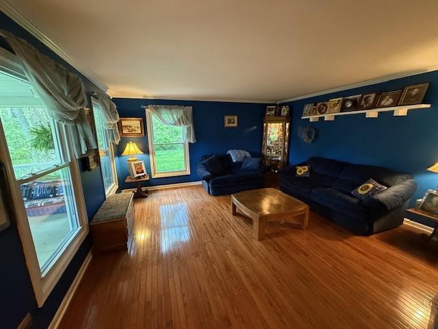 1201 E St, Crete, IL 60417 - living room with hardwood / wood-style floors, ornamental molding, and baseboards